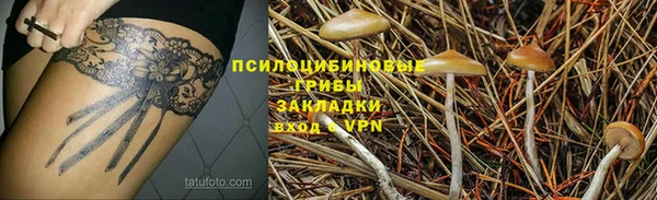 не бодяженный Верхний Тагил