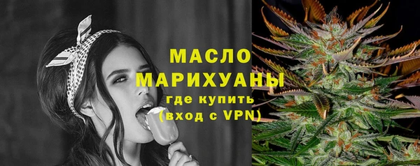 индика Волоколамск