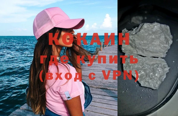 индика Волоколамск