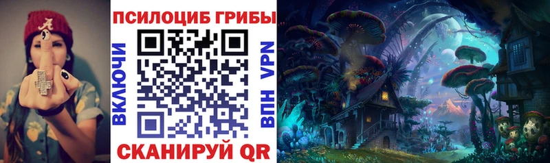 наркошоп  Люберцы  Псилоцибиновые грибы Magic Shrooms 